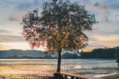 The Mangrove Phuket by Blu Monkey – Foto 7